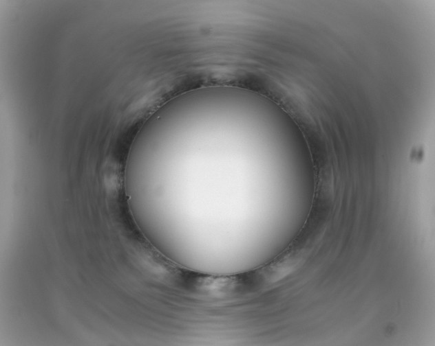 X0000091660135200709061029