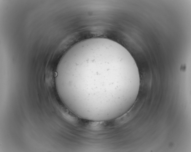 X0000091660136200709061029