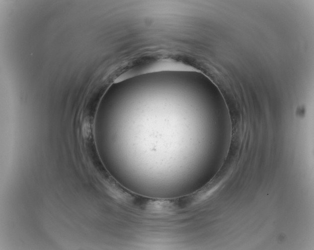 X0000091660137200709061029