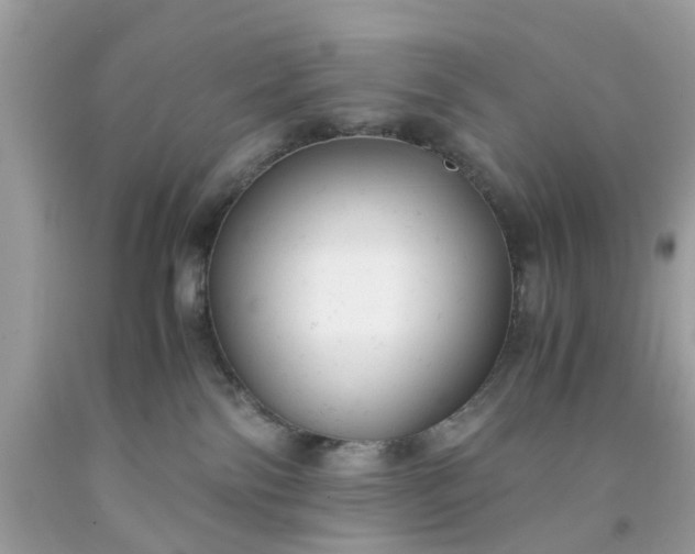 X0000091660138200709061029