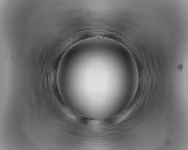 X0000091660139200709061029