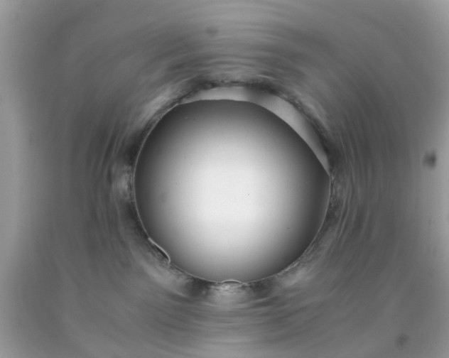 X0000091660141200709061029