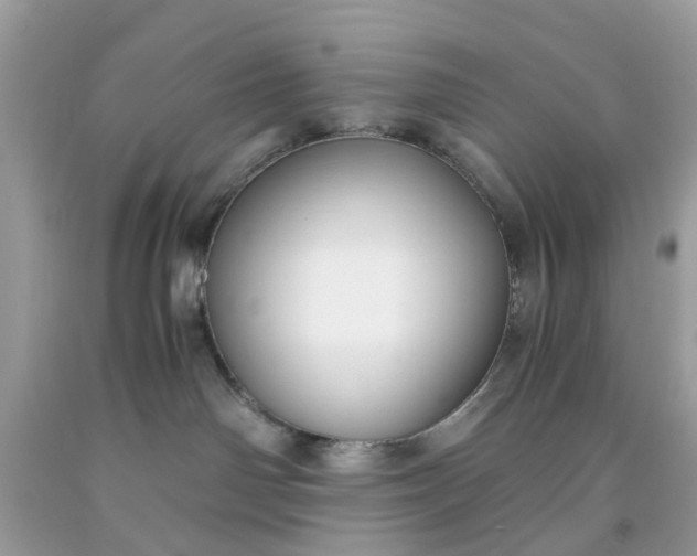 X0000091660142200709061029