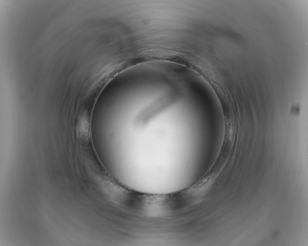 X0000091660143200709061029