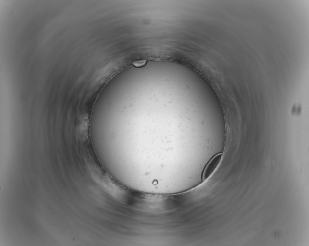 X0000091660144200709061029