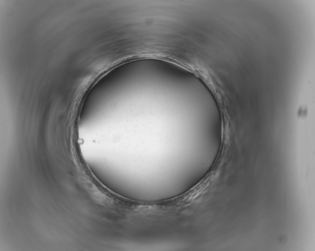 X0000091660145200709061028