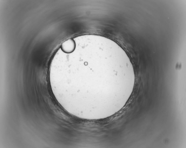 X0000091660146200709061028