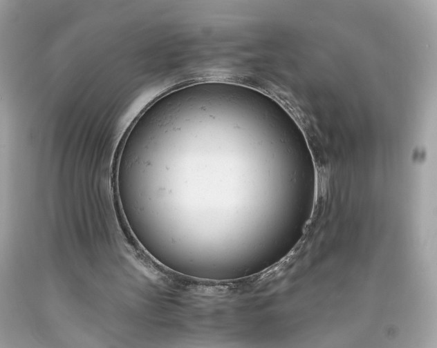 X0000091660147200709061028