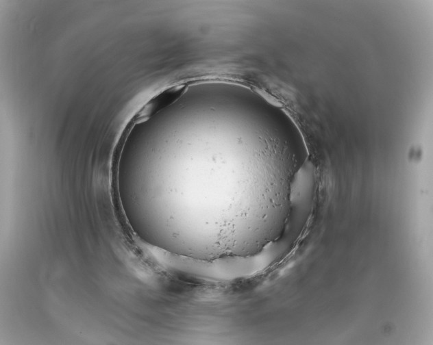 X0000091660148200709061028