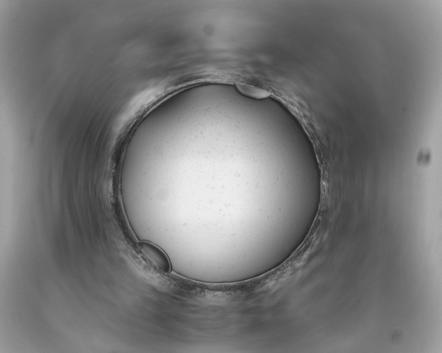 X0000091660149200709061028