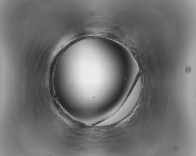 X0000091660150200709061028