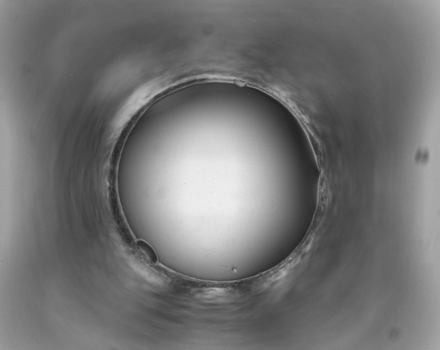 X0000091660151200709061028