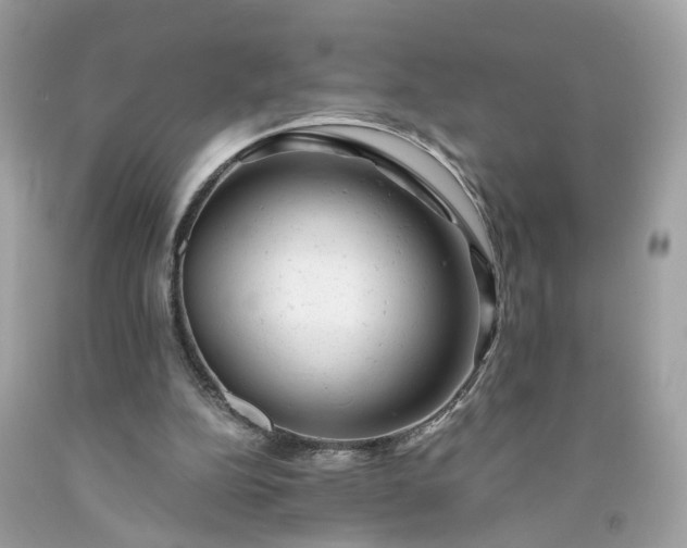 X0000091660152200709061028