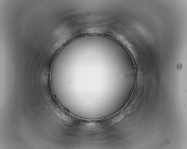 X0000091660153200709061028