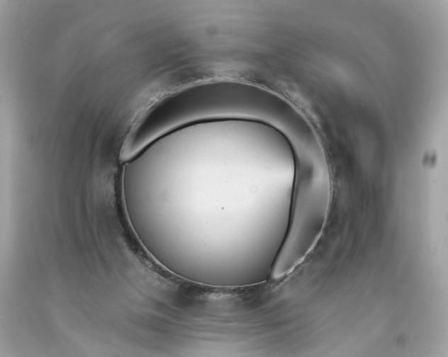 X0000091660154200709061028