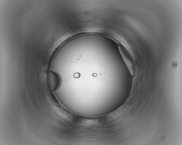 X0000091660155200709061028