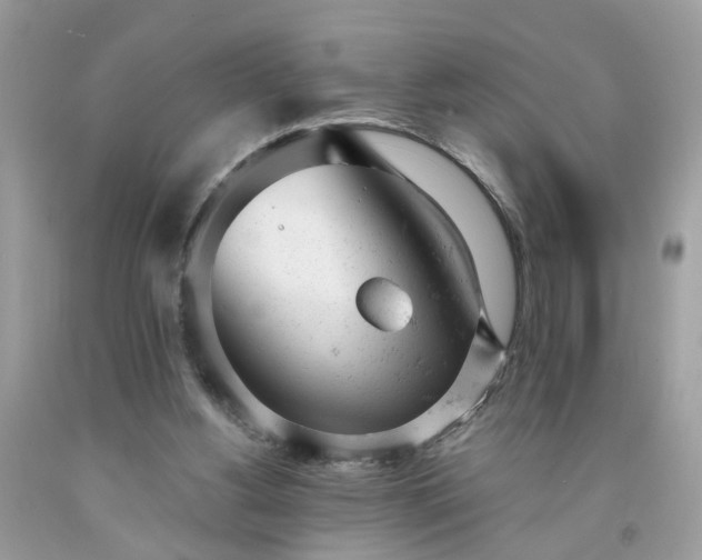 X0000091660156200709061028