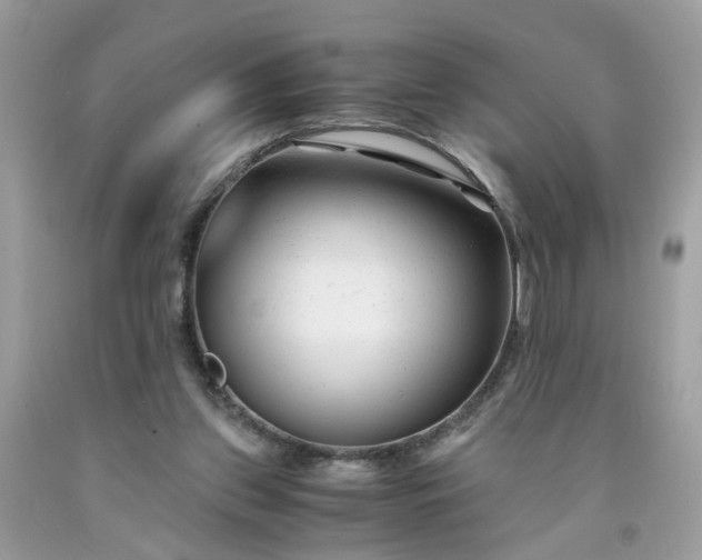 X0000091660157200709061028