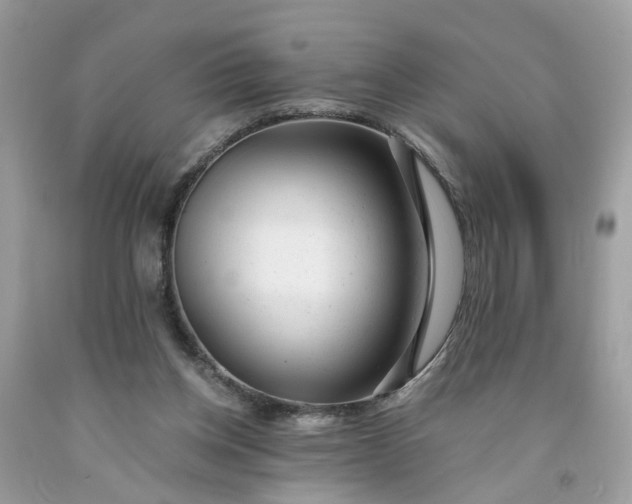 X0000091660158200709061028