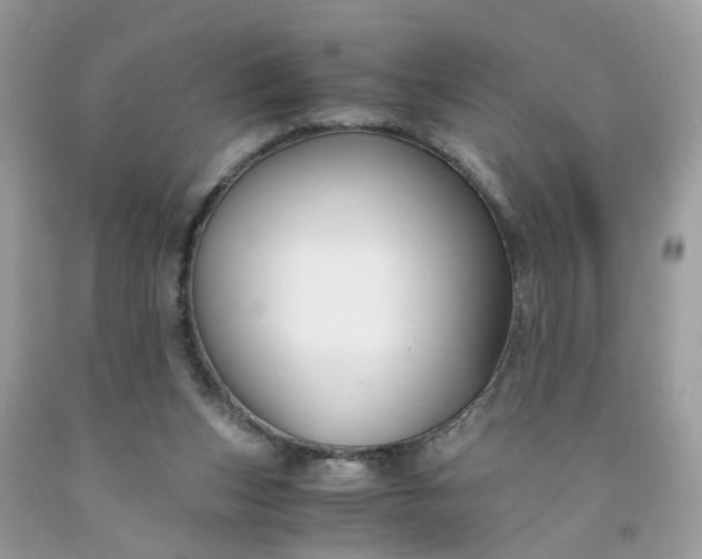 X0000091660159200709061028