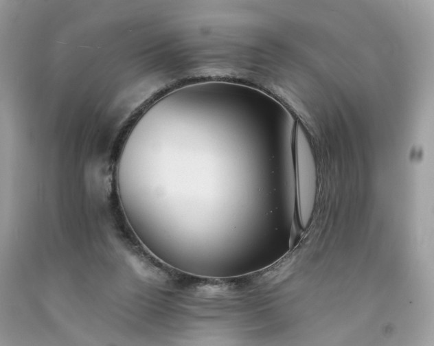 X0000091660160200709061028