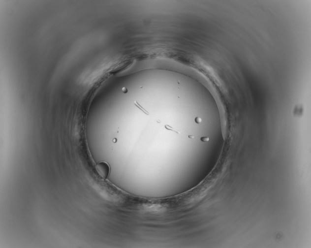 X0000091660161200709061028