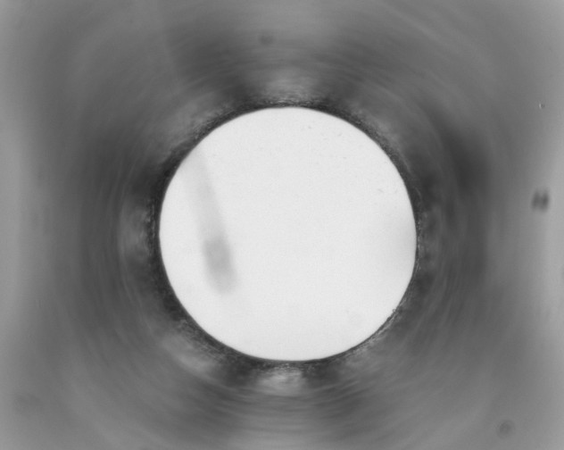 X0000091660162200709061028