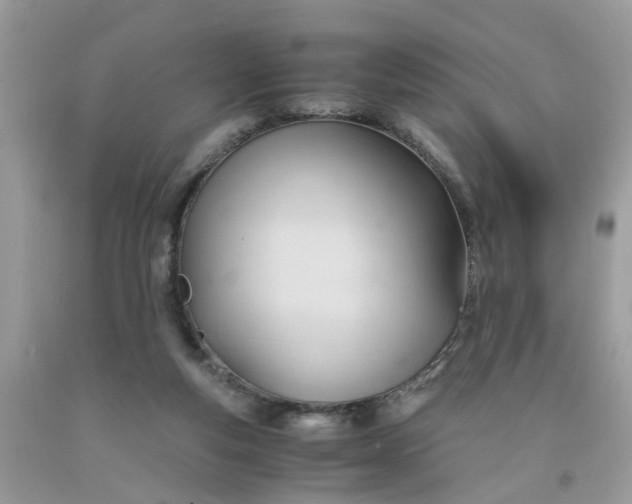 X0000091660163200709061028