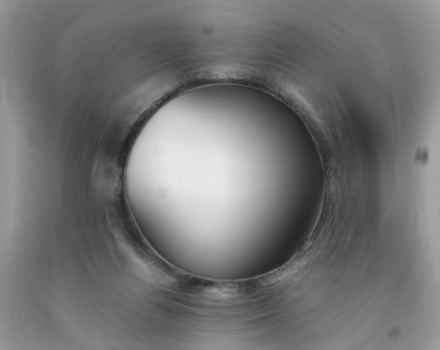 X0000091660164200709061028