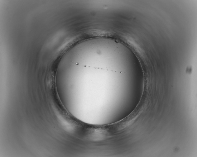 X0000091660165200709061028