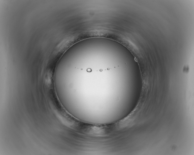 X0000091660166200709061028