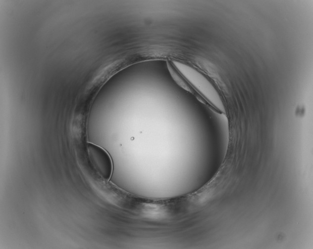 X0000091660167200709061028