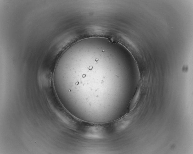 X0000091660168200709061028