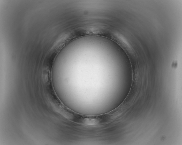 X0000091660169200709061028