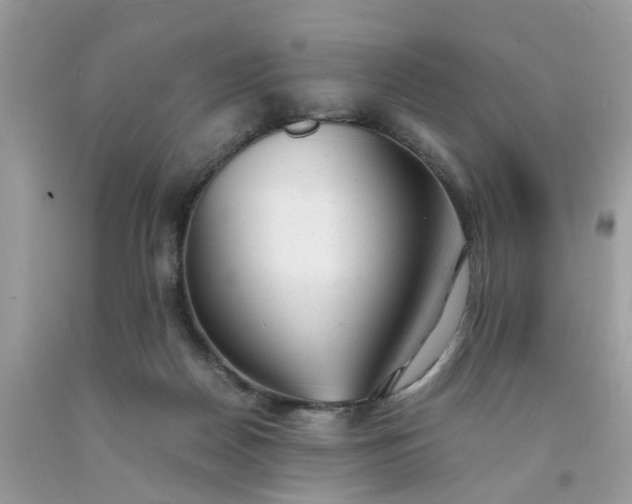 X0000091660170200709061028