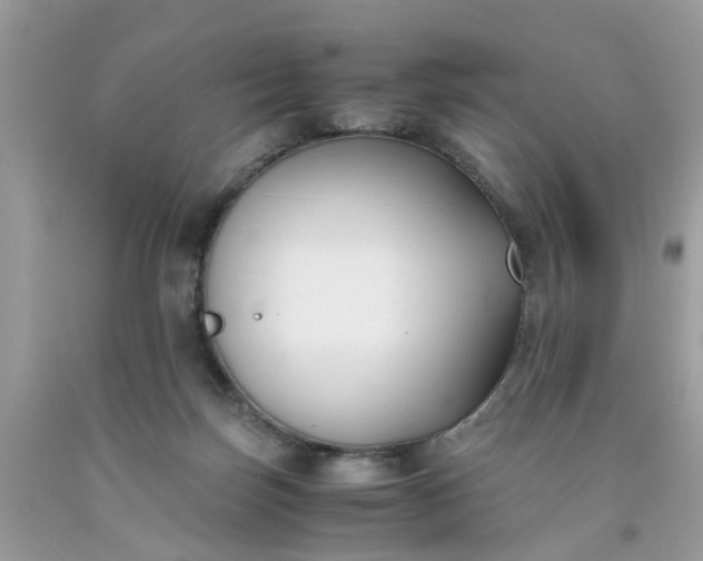 X0000091660171200709061028