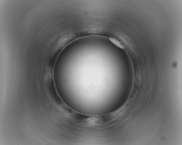 X0000091660172200709061028