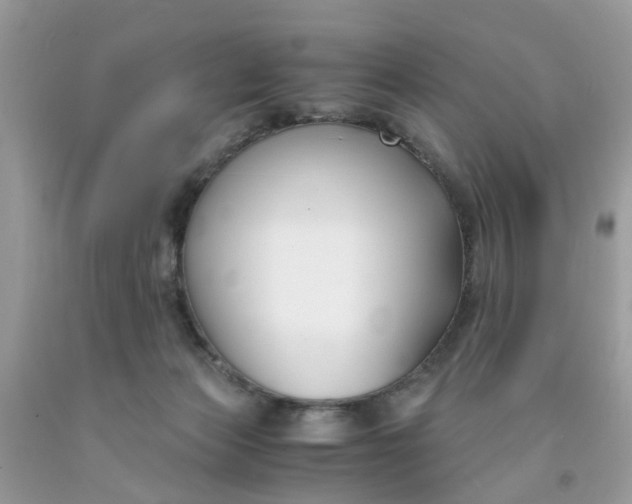 X0000091660173200709061028