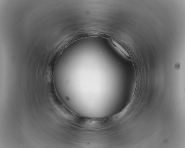 X0000091660174200709061028