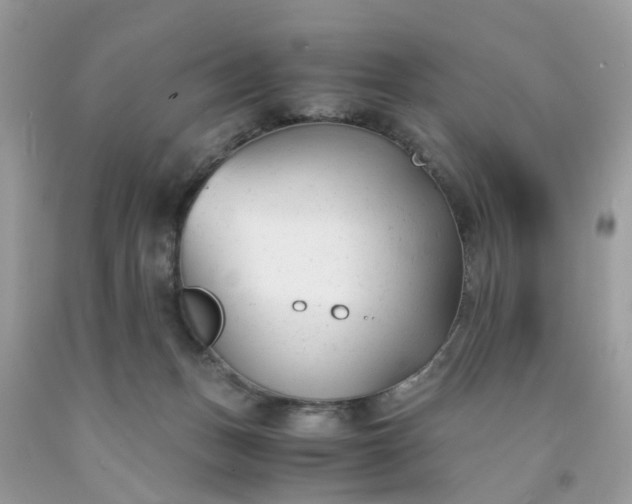 X0000091660175200709061028