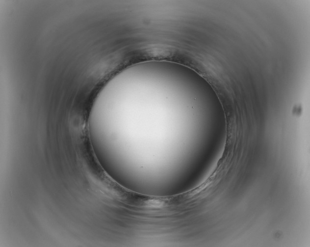 X0000091660176200709061028