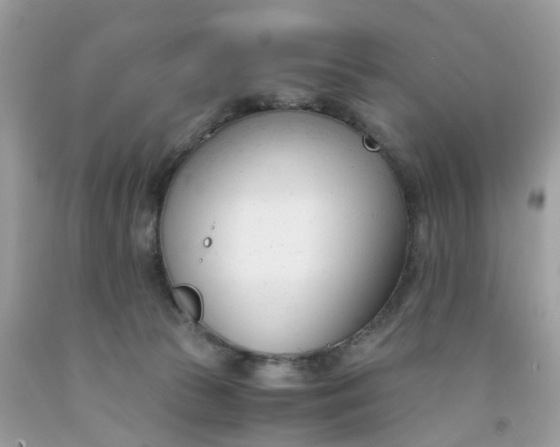 X0000091660177200709061028