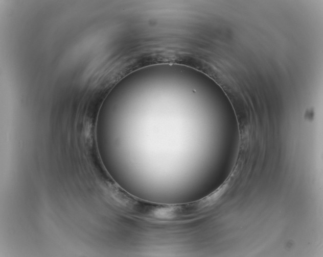 X0000091660178200709061028