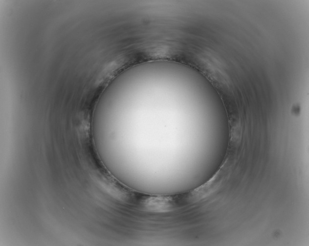 X0000091660179200709061028