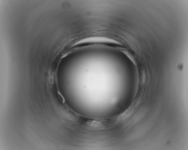 X0000091660180200709061028