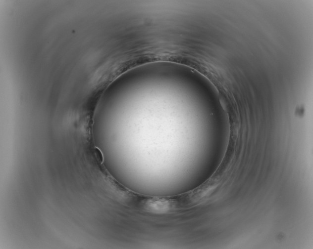 X0000091660181200709061028