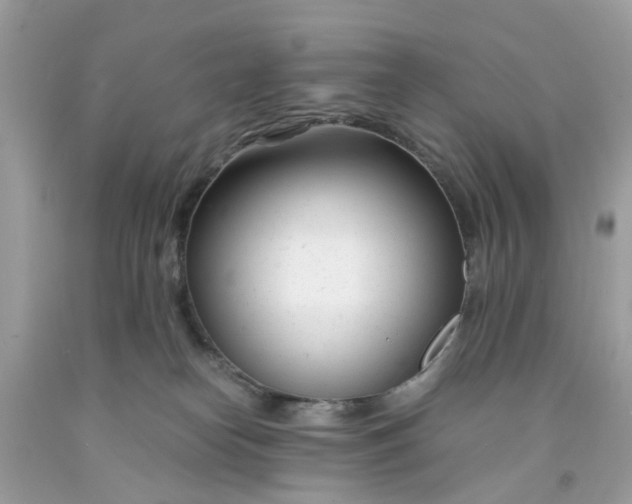 X0000091660182200709061028