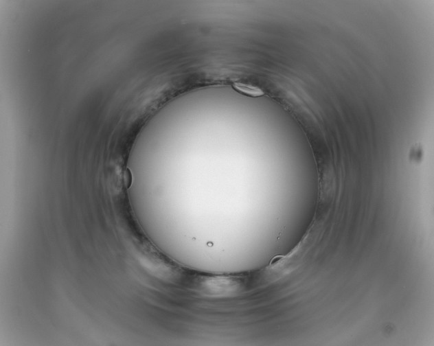 X0000091660183200709061028