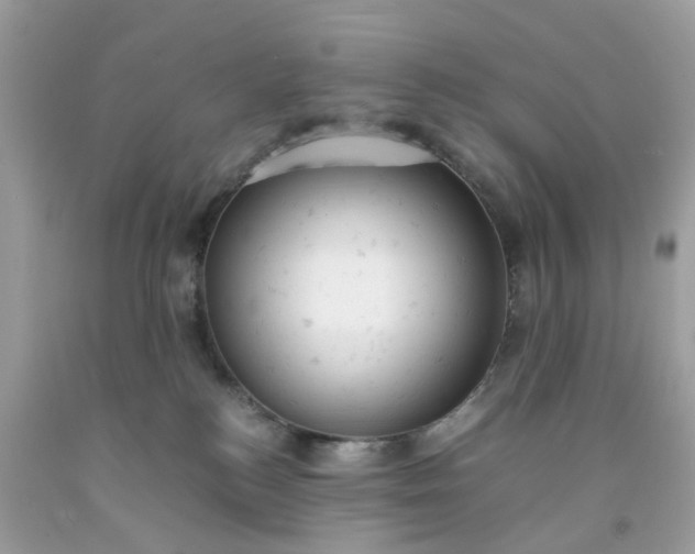 X0000091660184200709061028