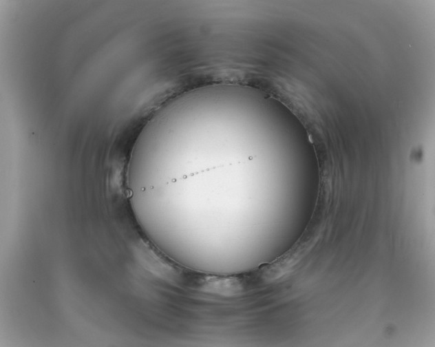 X0000091660185200709061028